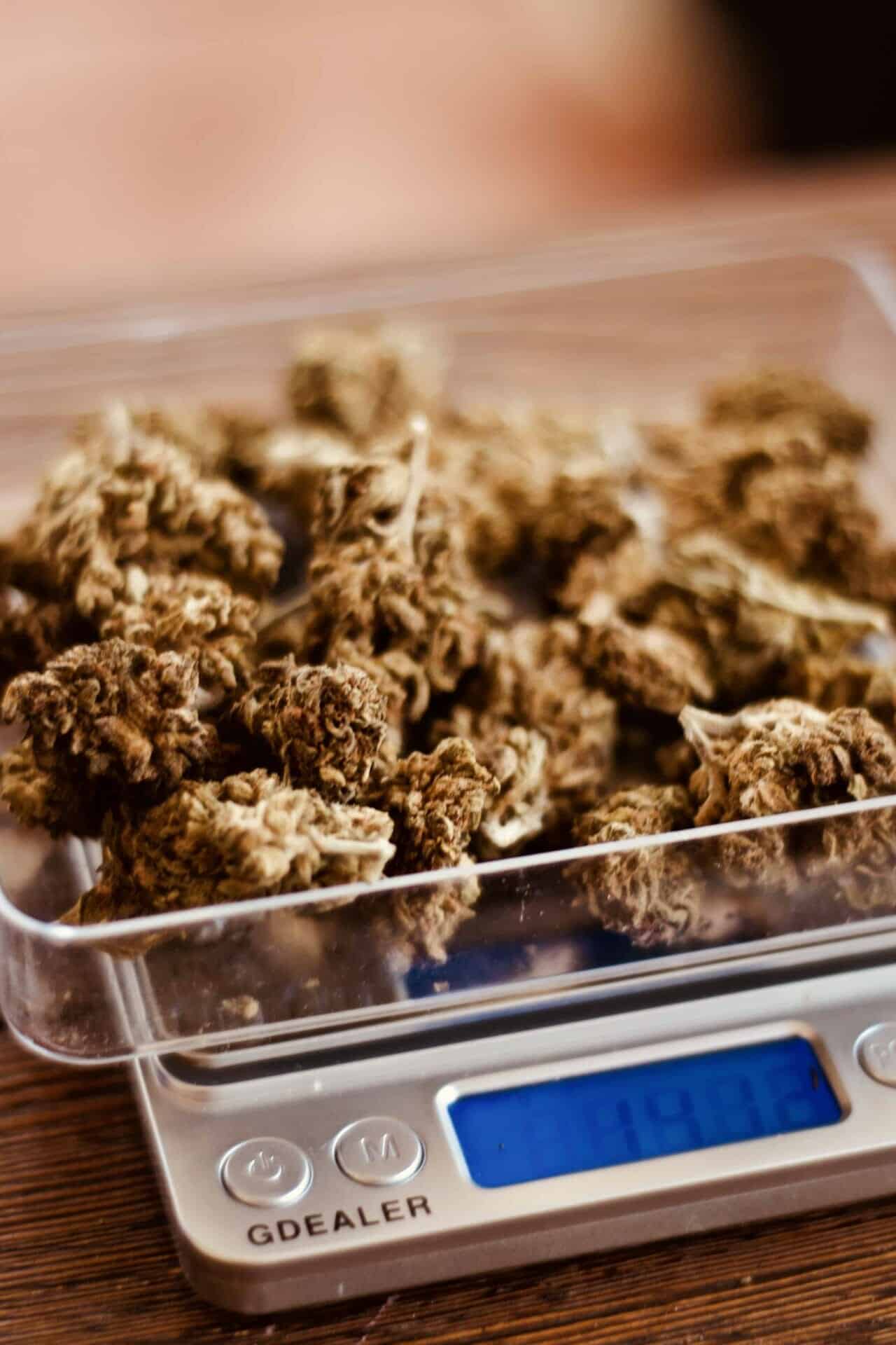 Cannabis Recipes,cake,health