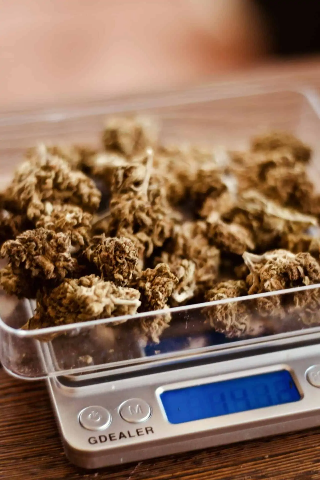 Cannabis Recipes