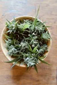 how to make raw tincture