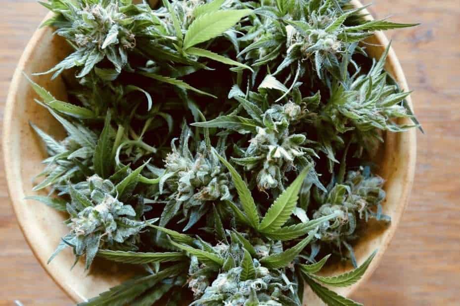 how to make raw tincture